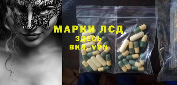 твердый Арсеньев