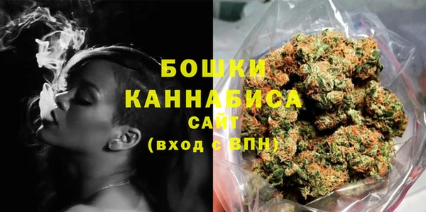 твердый Арсеньев