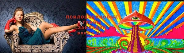 твердый Арсеньев