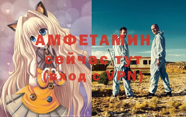 твердый Арсеньев