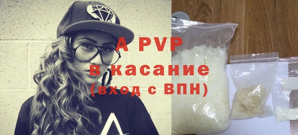 твердый Арсеньев