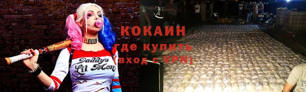 твердый Арсеньев