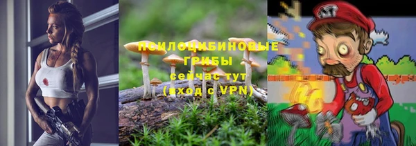 ALPHA PVP Аркадак